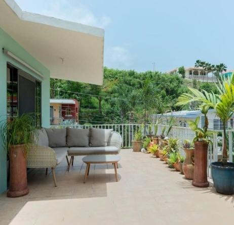 Casa Mia Guest House Рінкон Екстер'єр фото